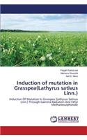Induction of mutation in Grasspea(Lathyrus sativus Linn.)