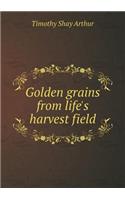 Golden Grains from Life's Harvest Field