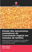 Estudo dos mecanismos promotores de crescimento vegetal em isolados de lentilha