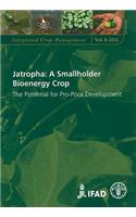 Jatropha