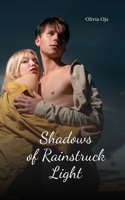 Shadows of Rainstruck Light