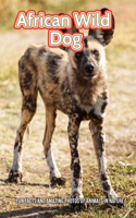 African Wild Dog