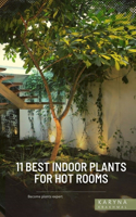 11 Best Indoor Plants For Hot Rooms