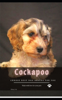 Cockapoo