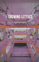 Growing Lettuce: The Ultimate Beginners Guide to Building a Hydroponic System