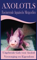 Axolotls Fascinerende Aquatische Metgezellen