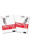 Inspire Maths: Practice Book 5 AB (Mixed Pack): (Inspire Maths)