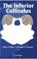 Inferior Colliculus