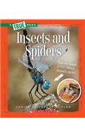 Insects and Spiders (a True Book: Animal Kingdom)