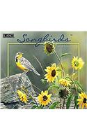 Songbirds 2018 Calendar (Deluxe Wall)