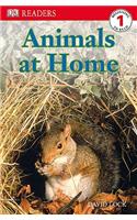 DK Readers L1: Animals at Home