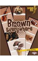 Brown Everywhere: (Lightning Bolt Books: Colors Everywhere (Library))