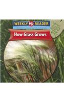 How Grass Grows