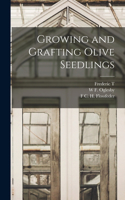 Growing and Grafting Olive Seedlings