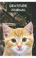 Gratitude Journal: Cute Kitten Cover Diary to Record Things You're Grateful For Daily Tabby Cat Notebook Motivational Logbook For Blessings & Thanks: Inspirational Act