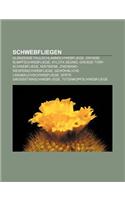 Schwebfliegen: Glanzende Faulschlammschwebfliege, Grosse Sumpfschwebfliege, Xylota Segnis, Grosse Torf-Schwebfliege, Mistbiene