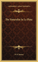 Naturalist In La Plata