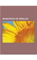 Municipios de Hidalgo: Tulancingo de Bravo, Huejutla, Tizayuca, Tenango de Doria, Tezontepec de Aldama, Pachuca de Soto, Municipio de Actopan