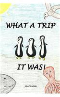 What A Trip It Was