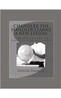 Chandler The Handler Learns A New Lesson