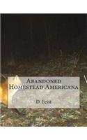 Abandoned Homestead Americana