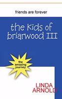 Kids of Briarwood III