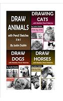 Draw Animals