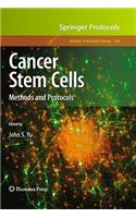 Cancer Stem Cells
