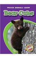 Bear Cubs