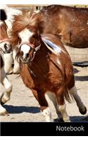 Notebook: Caballos Juego, Animal Divertido Cuaderno - Diario - Libro de escritura - Notas - 6 x 9 (15.24 x 22.86 cm), 110 páginas, superficie brillante.