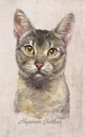 Abyssinian Shorthair Cat Portrait Notebook: Blank Lined Journal for Cat Lovers, Cat Mom, Cat Dad and Pet Owners - 6x9 with College Ruled Pages(8 Watercolor Cat Journals)