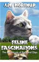 Feline Fascinations