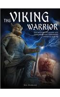 Viking Warrior