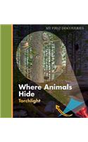 Where Animals Hide
