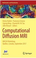 Computational Diffusion MRI