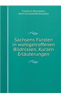 Sachsens Fürsten in Wohlgetroffenen Bildnissen. Kurzen Erläuterungen