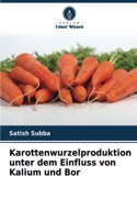 Karottenwurzelproduktion unter dem Einfluss von Kalium und Bor