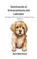 Dominando el Entrenamiento del Labrador: Estrategias Paso a Paso para un Laboratorio Leal y Obediente
