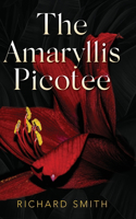 Amaryllis Picotee