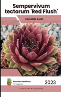 Sempervivum tectorum 'Red Flush': Succulent Handbook: Complete Guide to Growing Succulent Plant