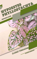 Hypoestes phyllostachya