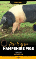 Hampshire Pigs
