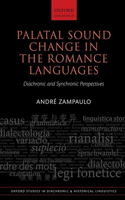 Palatal Sound Change in the Romance Languages: Diachronic and Synchronic Perspectives(38 Oxford Studies in Diachronic and Historical Linguistics)