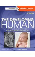 Developing Human