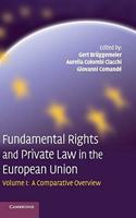 Fundamental Rights and Private Law in the European Union: Volume 1, A Comparative Overview