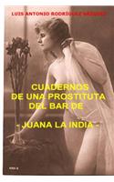 Cuadernos de una prostituta del bar de Juana la india