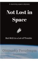 Not Lost in Space But Still in a Lot of Trouble