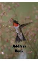 Address Book: Hummingbird themed 6x9 100 pages