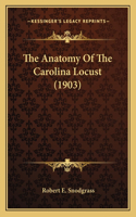 Anatomy Of The Carolina Locust (1903)