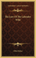 Lure Of The Labrador Wild
